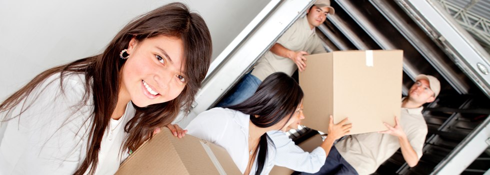 Professional Removalists Lonsdale